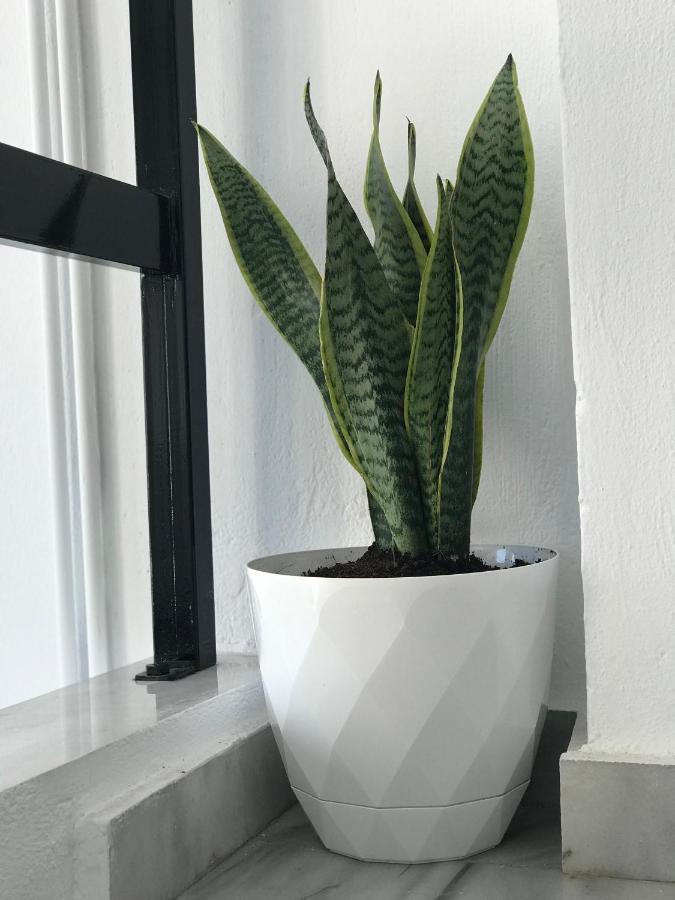 Inej Maisonette エルムポリ エクステリア 写真